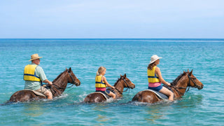 Seville Outpost - Vacation Rentals | Jamaica Sotheby’s International Realty