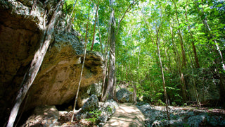 Green Grotto Caves - Vacation Rentals | Jamaica Sotheby’s International Realty