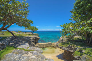 Reside Ocean Villa 1 - Vacation Rentals | Jamaica Sotheby’s International Realty