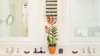Reside Signature Bayview Villas, Montego Bay - Vacation Rentals | Jamaica Sotheby’s International Realty