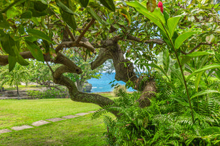 Reside Ocean Villa 4 - Vacation Rentals | Jamaica Sotheby’s International Realty