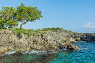 Reside Ocean Villa 4 - Vacation Rentals | Jamaica Sotheby’s International Realty