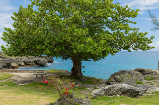 Reside Ocean Villa 2 - Vacation Rentals | Jamaica Sotheby’s International Realty