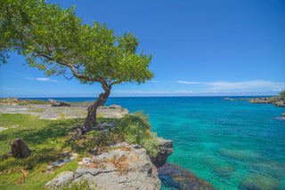 Reside Ocean Villa 1 - Vacation Rentals | Jamaica Sotheby’s International Realty