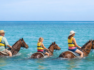 Excursions in Ocho Rios 3 - Vacation Rentals | Jamaica Sotheby’s International Realty