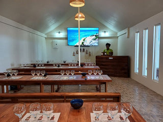 Ocean Outpost at Sandy Bay - Vacation Rentals | Jamaica Sotheby’s International Realty