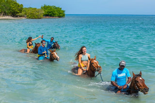 Ocean Outpost at Sandy Bay - Vacation Rentals | Jamaica Sotheby’s International Realty